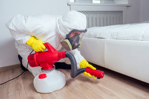 Professional Pest Control in Woodburn, OR